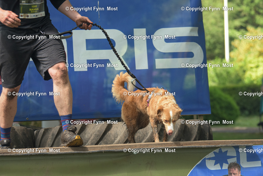DSC_0985-2 | Hallo und herzlich Willkommen auf meiner Shop-Seite Fynn Most.

Ich wünsche Dir viel Spaß beim stöbern durch die Bilder, wenn Du Fragen hast oder Bilder vermisst, kannst du mir gerne eine Nachricht schreiben. - Realisiert mit Pictrs.com