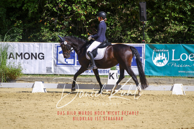 DKP42163 | Turniersportfotografie; Pferdefotografie; Dressurfotografie