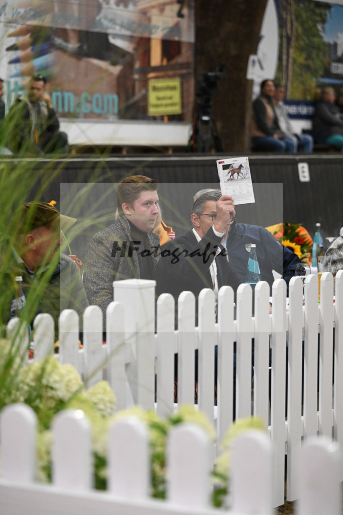 Fohlenauktion Next Chance_49220492 | hf-fotografie - Realisiert mit Pictrs.com