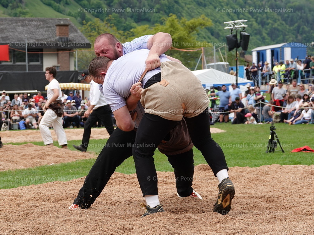 DSC07195 | Schwingen - Realisiert mit Pictrs.com