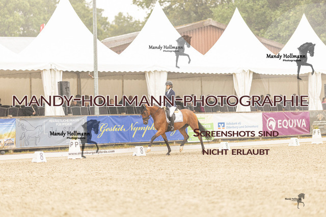 SW 4-822 | mandyhollmannphotographie