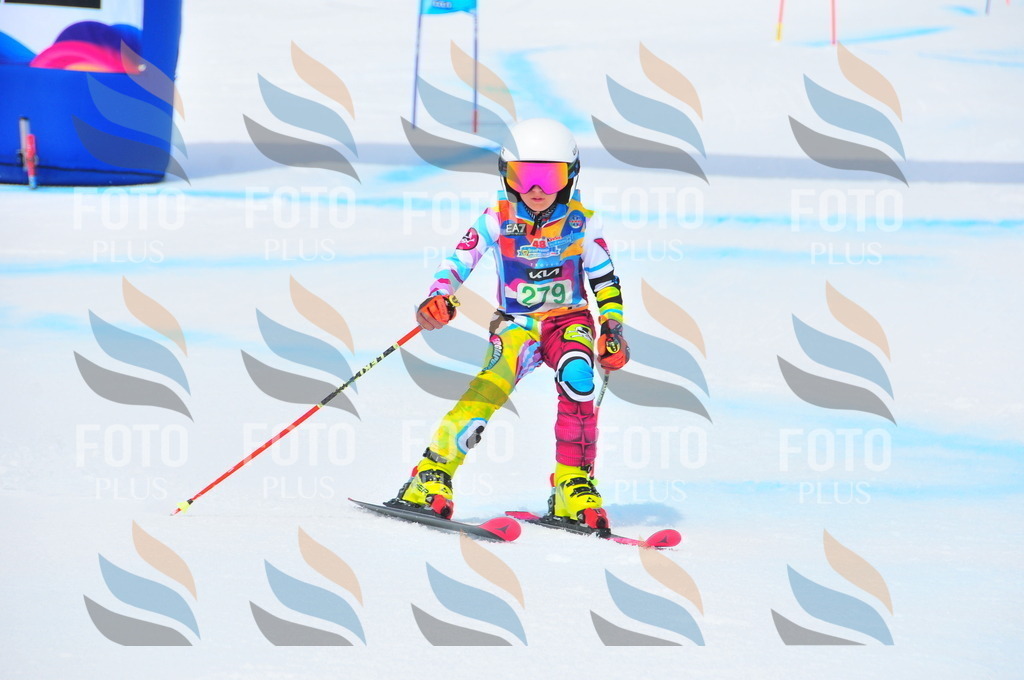 DSC_2600 | holidayphoto