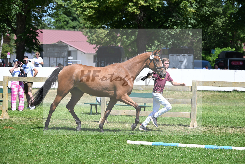 Kat-Nr. 10 Emmi Gertrud v. Vingino_Rameder_19250313 | hf-fotografie - Realizzato con Pictrs.com