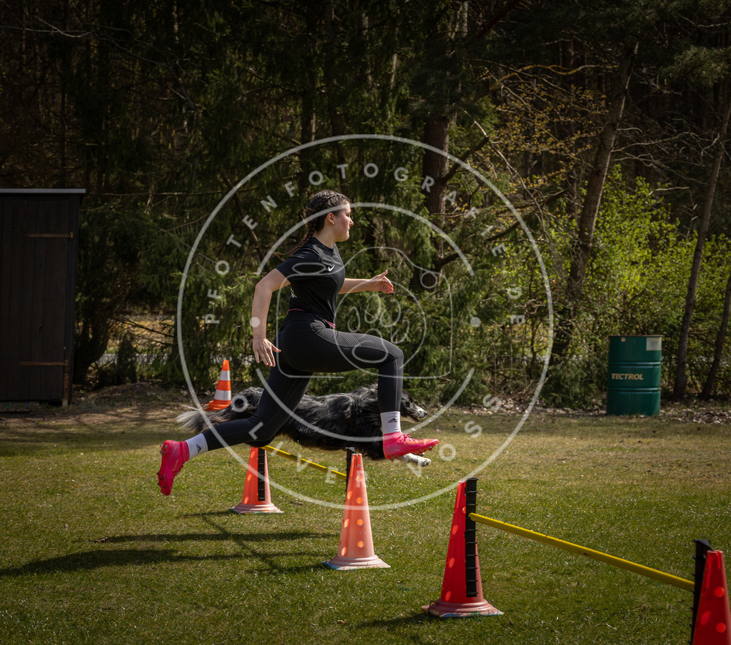 Pfotenfotografie_DV3A4043 | Hundefotografie, Tierfotograf, Pfotenfotografie, Fotoshooting Hund, Hunde Portrait, Hundesport, Hundeportraits, Heideshooting, Hunde, Sportfotograf, Hundefotograf, Turnierhundsport, THS,  - Realisiert mit Pictrs.com