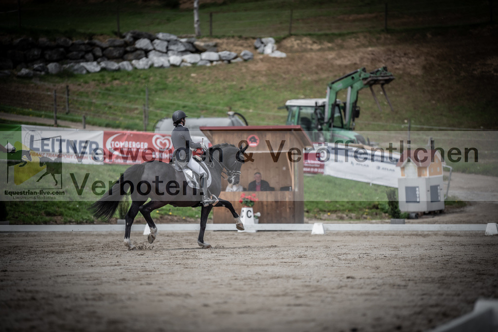 DSC_2762 | equestrian-live-com