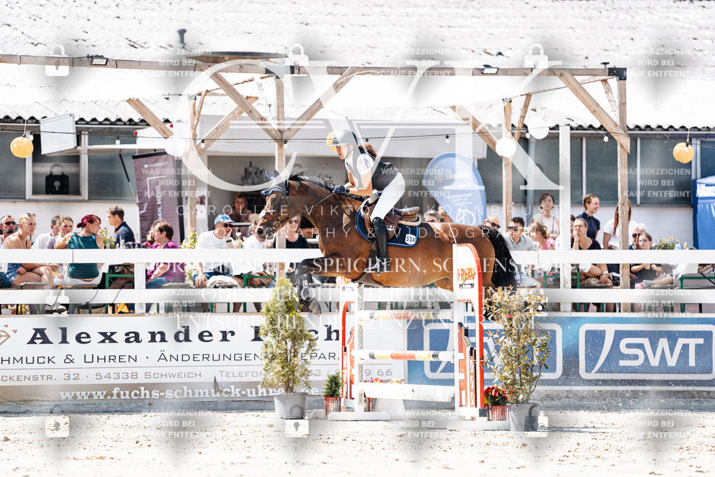 CK909788 | Turnierfotografie Pferdefotografie Trier Rheinland-Pfalz Pferdesport Reitsport Tierfotografie Sportfotografie Pferdevideo Pferdevideografie Equestrianvideography equestrianphotography  - Realisiert mit Pictrs.com