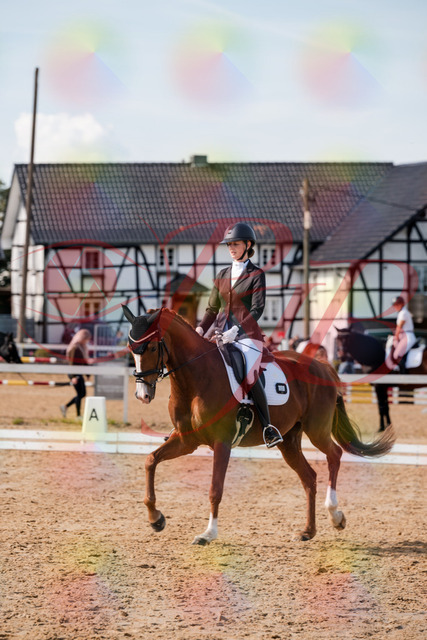 2026_10_03_Siefer-Hof_132955_Z63_91693393 | Professionelle Reitsport-, Turnier- und Eventfotografie von Robert Broda. Galerien mit ausgewählten und bearbeiteten Bildern direkt online ansehen und bestellen.