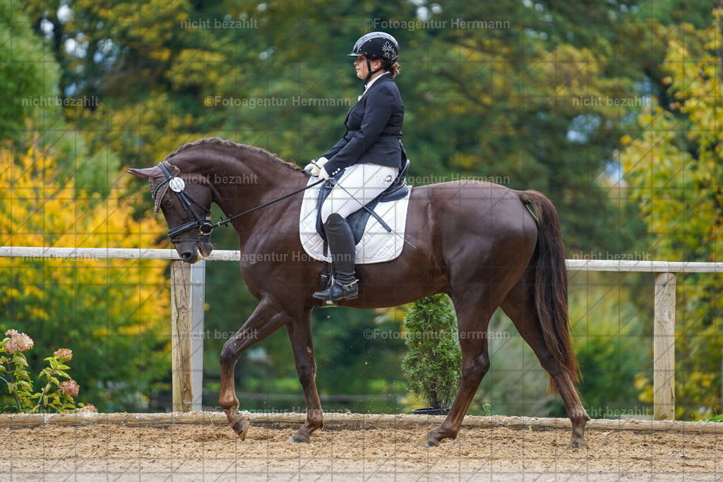 20221008-FAH01621 | Diessen am Ammersee, 2022, Dressur- und Springturnier, Reitsportbilder, Turnierfotografen Bayern, Pferdefotografen, Fotoagentur Herrmann, Turnierbilder