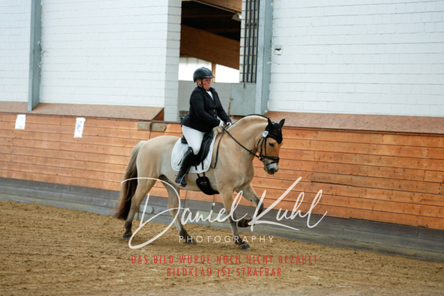 _62_6538 | Turniersportfotografie; Pferdefotografie; Dressurfotografie