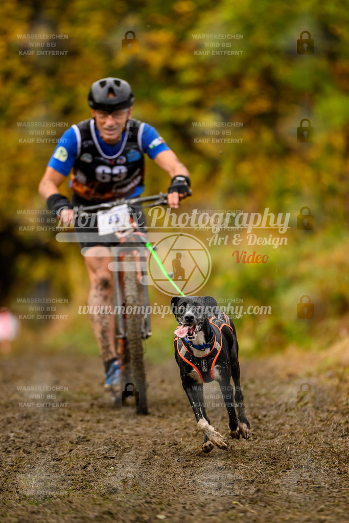 MompixPhotography_ICF_WC_2024_SA_DS_-145 | PayLife