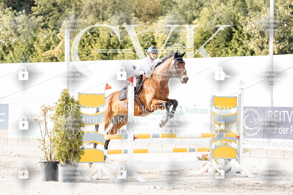 CK906638 | Turnierfotografie Pferdefotografie Trier Rheinland-Pfalz Pferdesport Reitsport Tierfotografie Sportfotografie Pferdevideo Pferdevideografie Equestrianvideography equestrianphotography  - Realisiert mit Pictrs.com