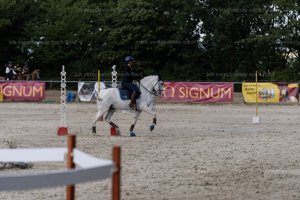 WS_SP_52_SinaFilmArt_IN08846 | working equitationturnier fotograf videograf stoibphotography marixx film working equitation deutschland reitsport turnierfotografie eventfotografie equestrian events