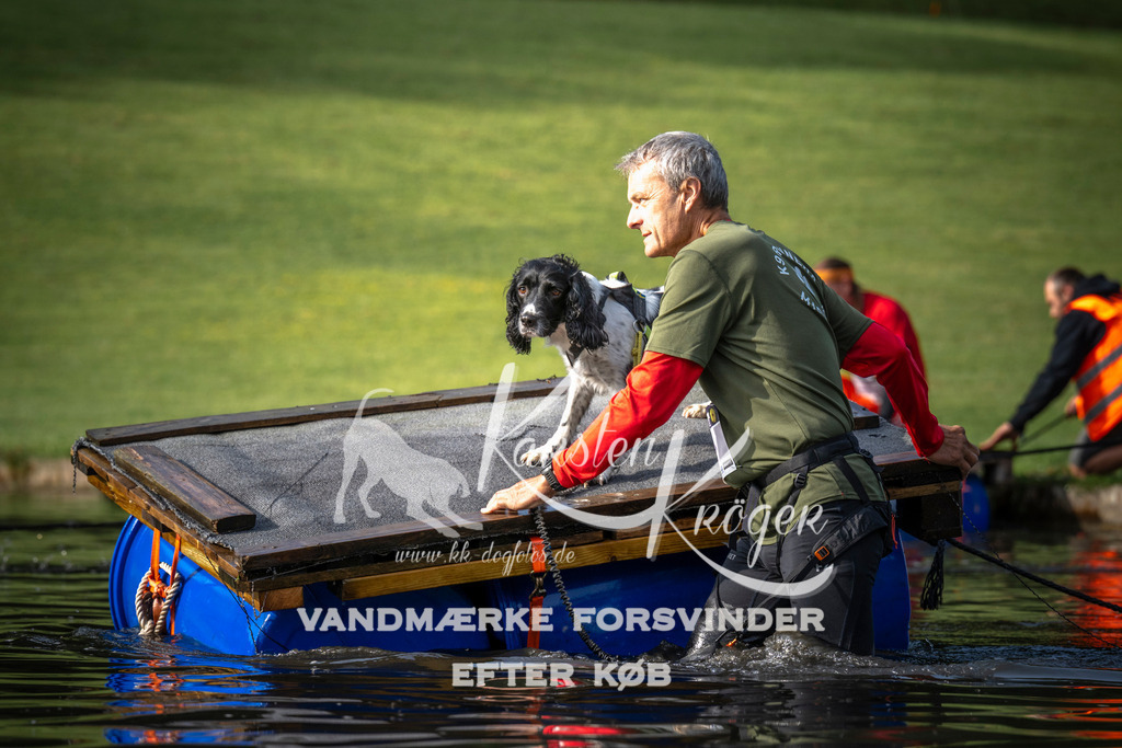 _ZZ938680709-2 | kk-dogfotos