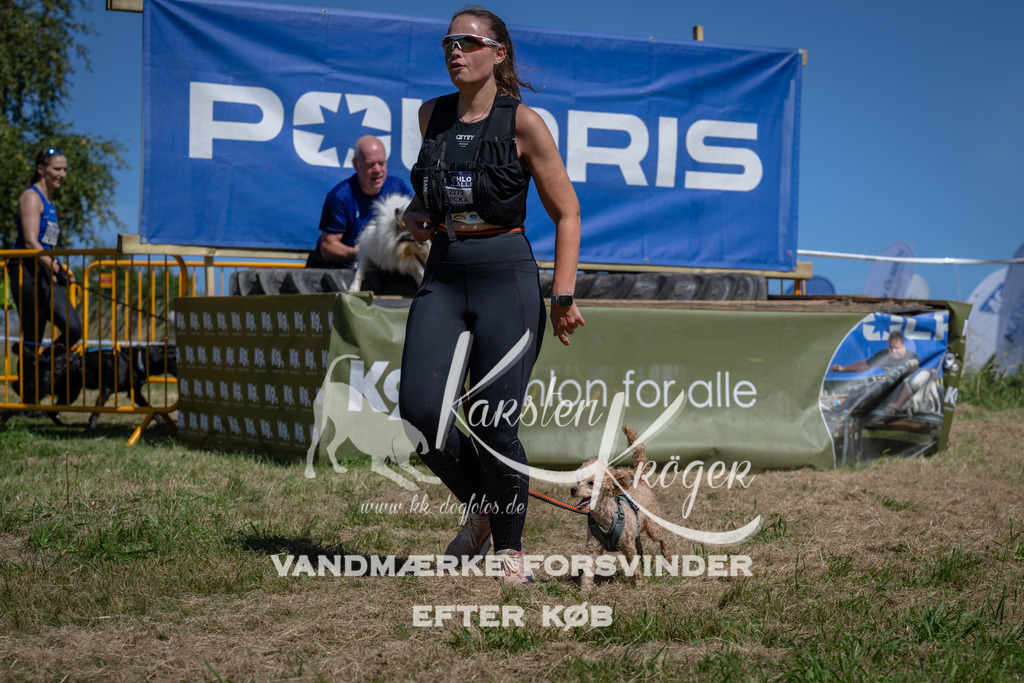 1255_ZZ97489 | kk-dogfotos