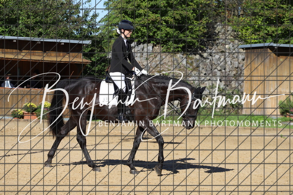 IMG_5088 | Benjamin Bartmann Photomoments