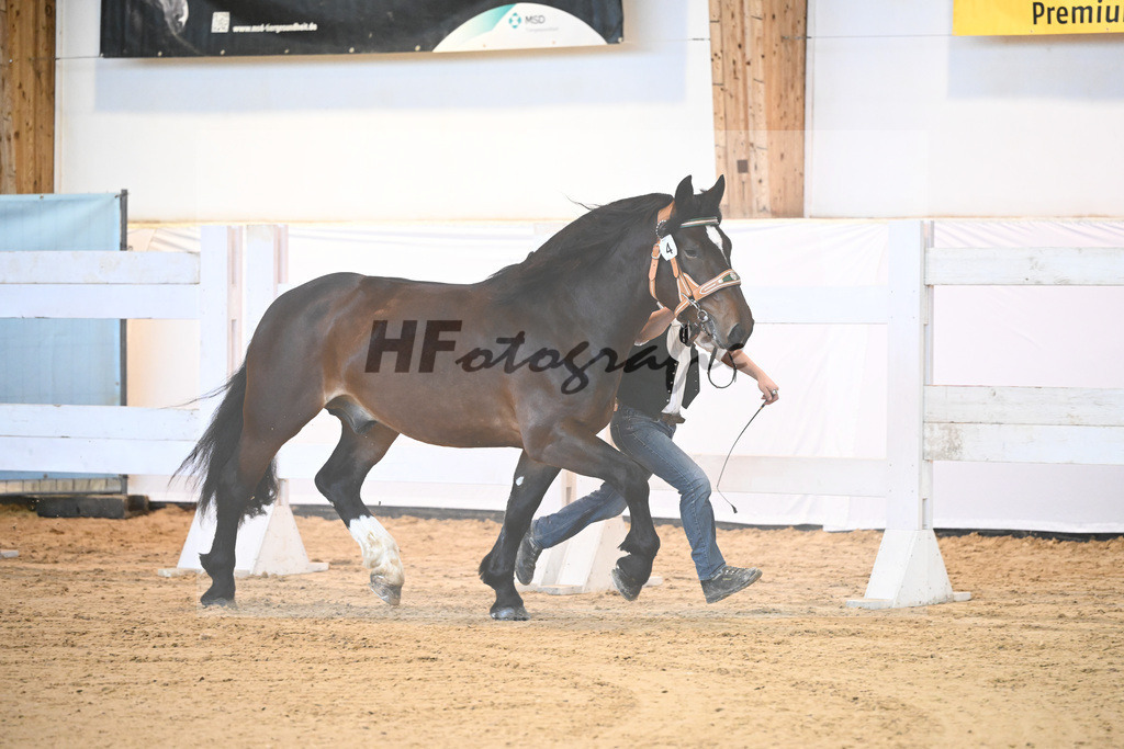 Kat-Nr. 4 v. Rubino I_Mitterer_6240024 | hf-fotografie - Realisiert mit Pictrs.com