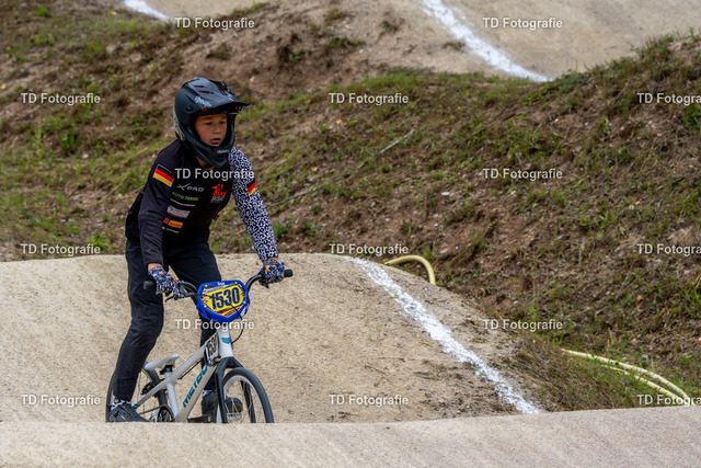 BayBMX2026-05526 | Fotogalerie von Thomas Dettweiler mit Eventbildern und lizenzfreien Fotos. Perfekt als Wandbild, für Büro, Website oder private Nutzung. - Realisiert mit Pictrs.com