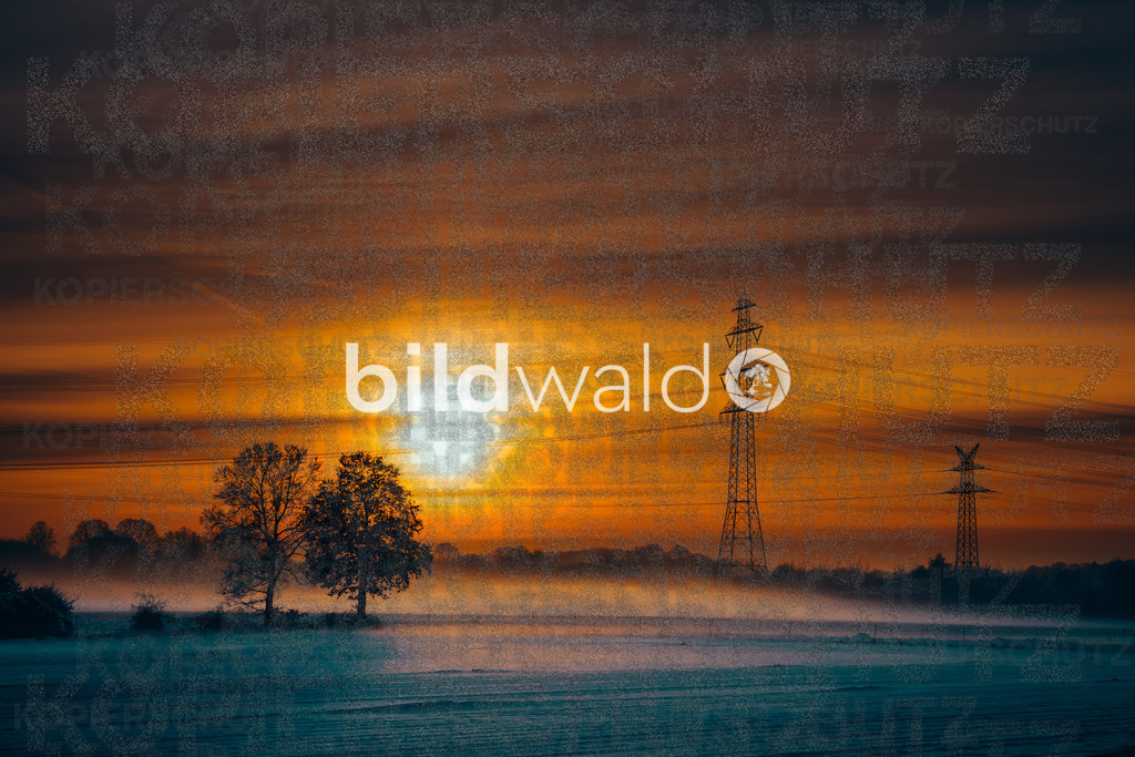 _DSC5447 | BILDWALD - eine Auswahl an Bildern von Thomas Perrotton zum bestellen und genießen. Alle Bilder von Thomas Perrotton - Alle Bilder mit einer SONY Kamera gemacht - SONY TAMRON SIGMA PHOTOSHOP LIGHTROOM BILDWALD Online kaufen Bilderwald Wandbilder - Realisiert mit Pictrs.com