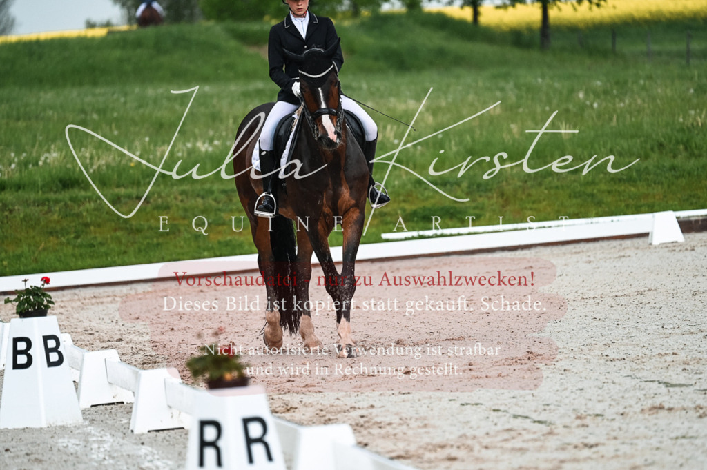 DSC_4159 | Pferde- und Turnierfotografie in Westsachsen. Pferdeportraits, Auftragszeichnungen und intuitive Kunst.