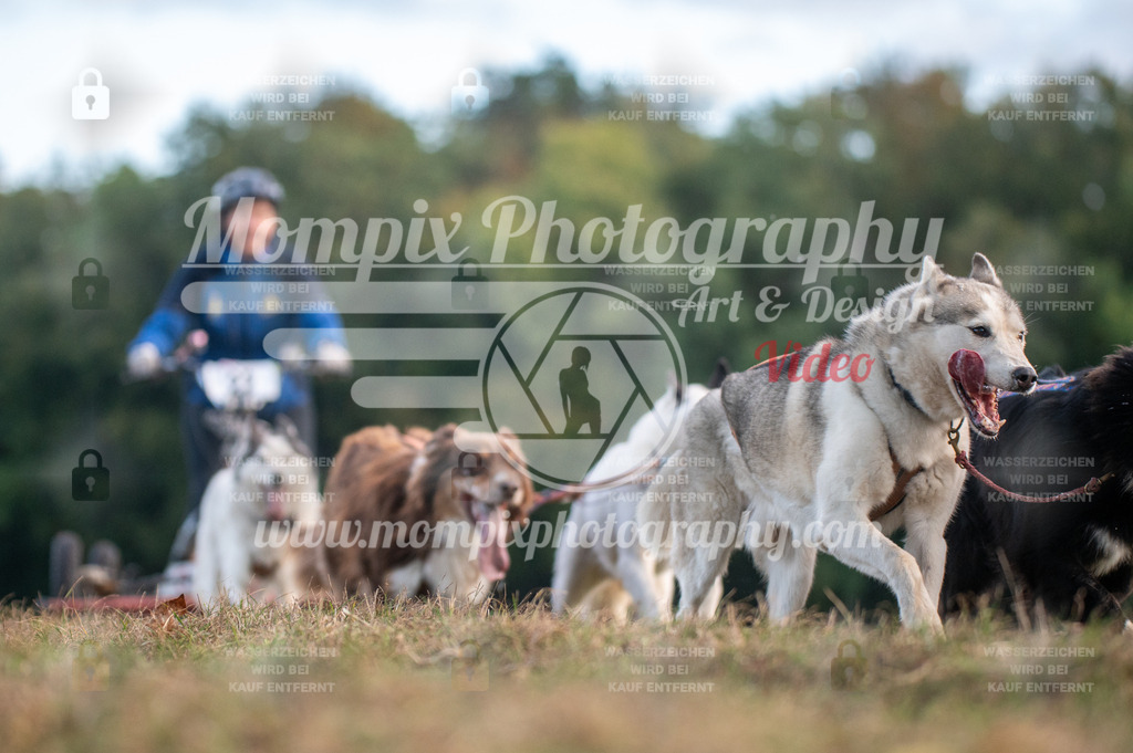 CDLBDB_15_10_2023_Dimanche-47 | PayLife