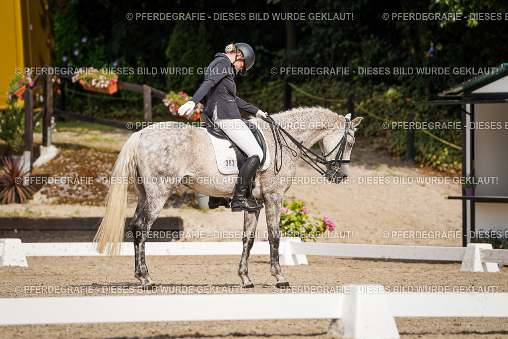 DSC07148 | Pferdegrafie