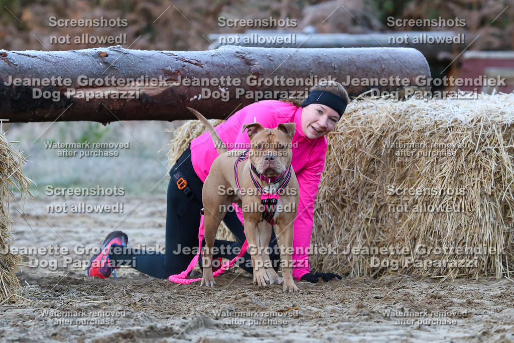 Dog Paparazzi - Strongdog 10-25-182 | Dog Paparazzi Jeanette Grottendiek Fotografie & Videografie - Realisiert mit Pictrs.com