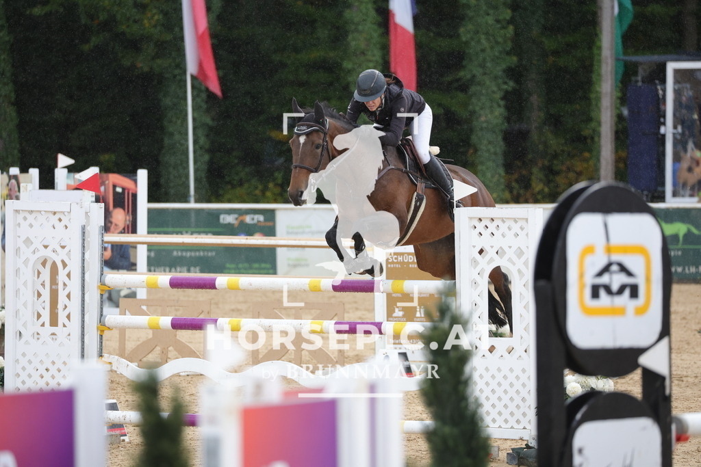 0P6A9566 | Willkommen bei Brunnmayr - Design & Fotografie – Ihrem Spezialisten für Reitturniere und Pferdeveranstaltungen in Oberösterreich, Salzburg und Bayern! Seit über 17 Jahren sind wir leidenschaftlich dabei.