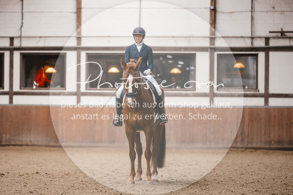 3I6A7498 | Stimmungsvolle Portraits und Reitsportfotografie im Ruhrgebiet und im Münsterland.

Pferdefotografie, Hundefotografie, Tierfotografie, Reportagen, Portraits von Tier und Mensch, Turnierfotografie in Bochum, Recklinghausen, Marl, Haltern am See, Dülmen.. - Realisiert mit Pictrs.com