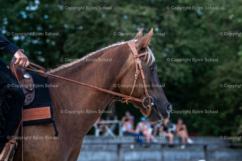 HOB09770 | BS-foto
