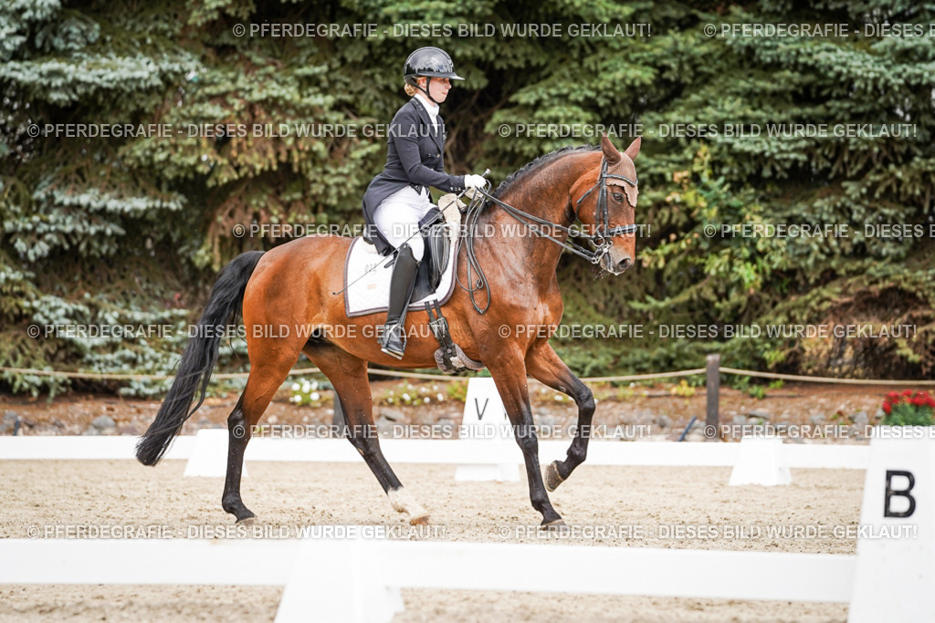 DSC05616 | Pferdegrafie