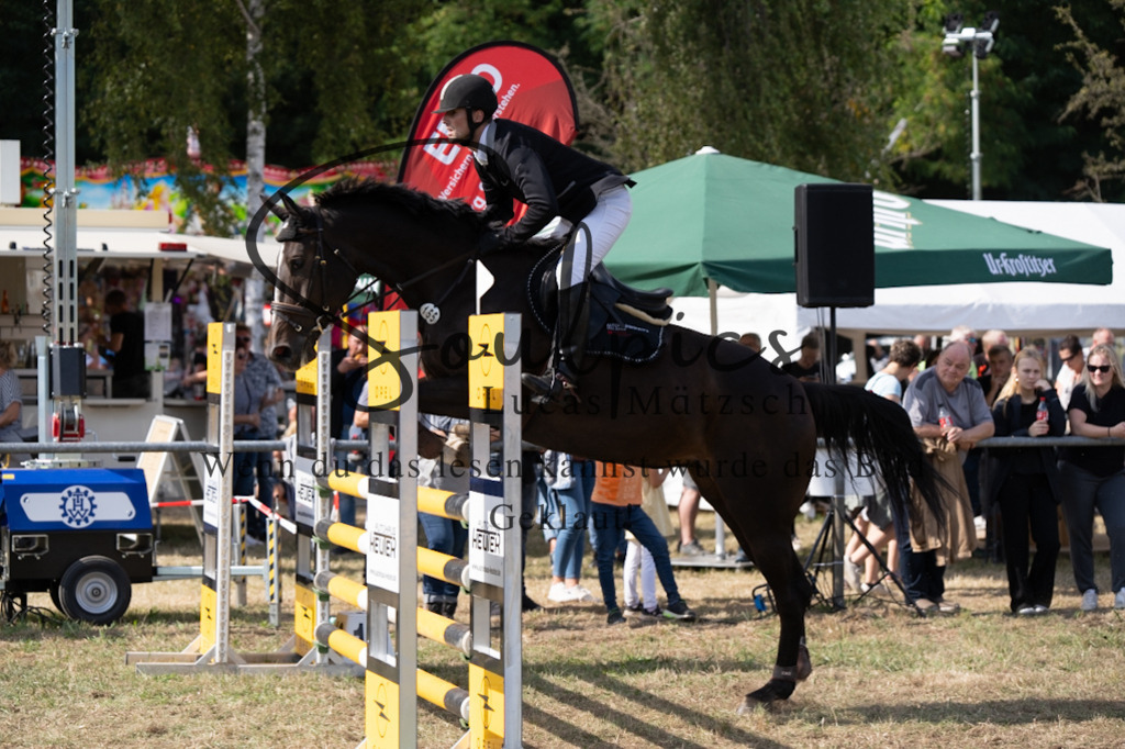 A7V09207 | Pferdefotograf