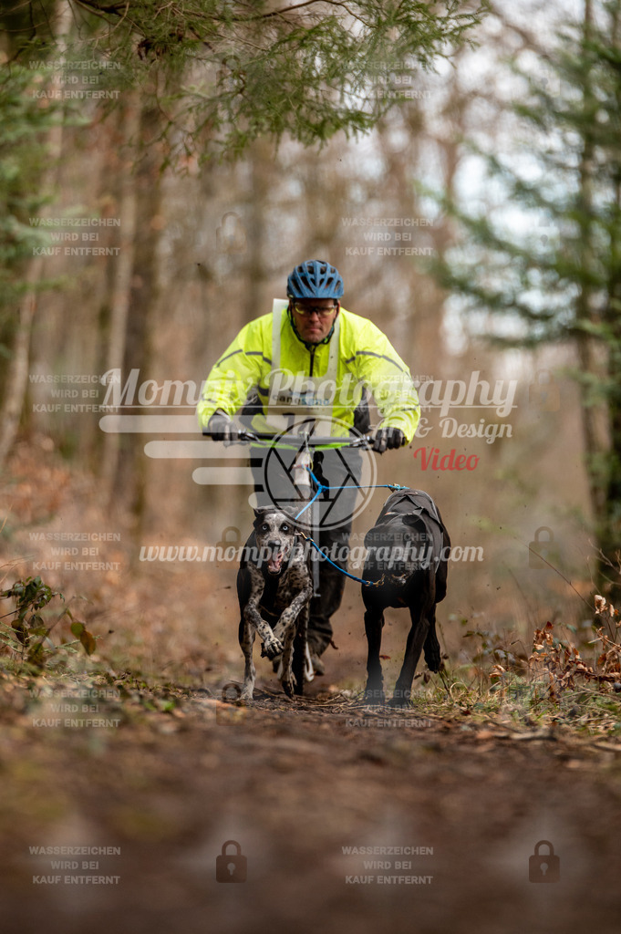 Reiat2023_SAM_DS2_8km_2H-8 | PayLife