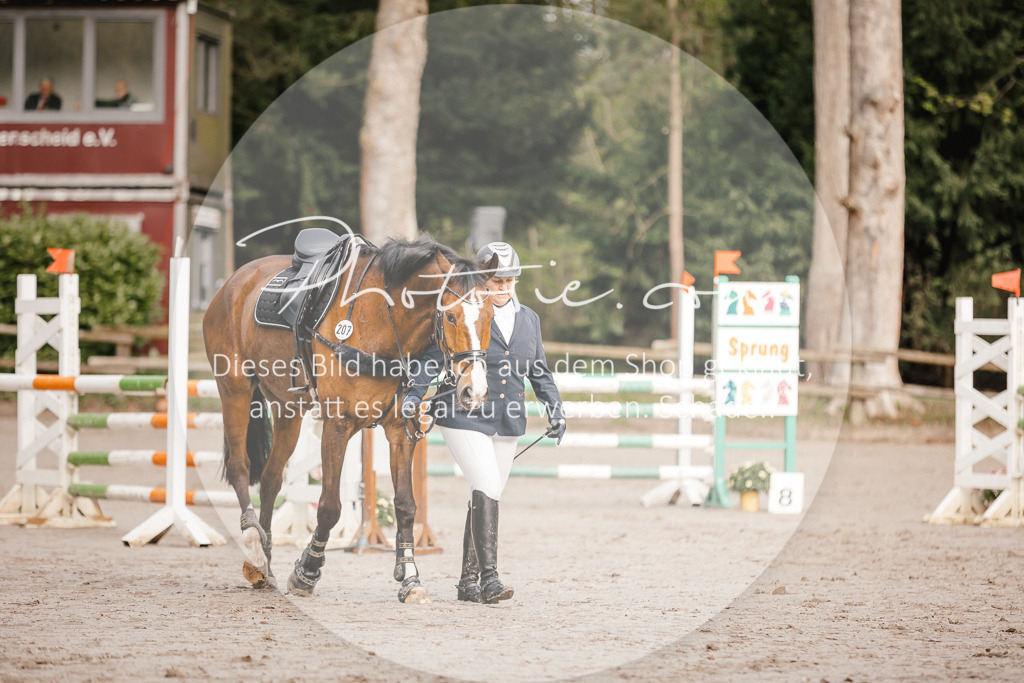 3I6A3205 | Stimmungsvolle Portraits und Reitsportfotografie im Ruhrgebiet und im Münsterland.

Pferdefotografie, Hundefotografie, Tierfotografie, Reportagen, Portraits von Tier und Mensch, Turnierfotografie in Bochum, Recklinghausen, Marl, Haltern am See, Dülmen.. - Realisiert mit Pictrs.com