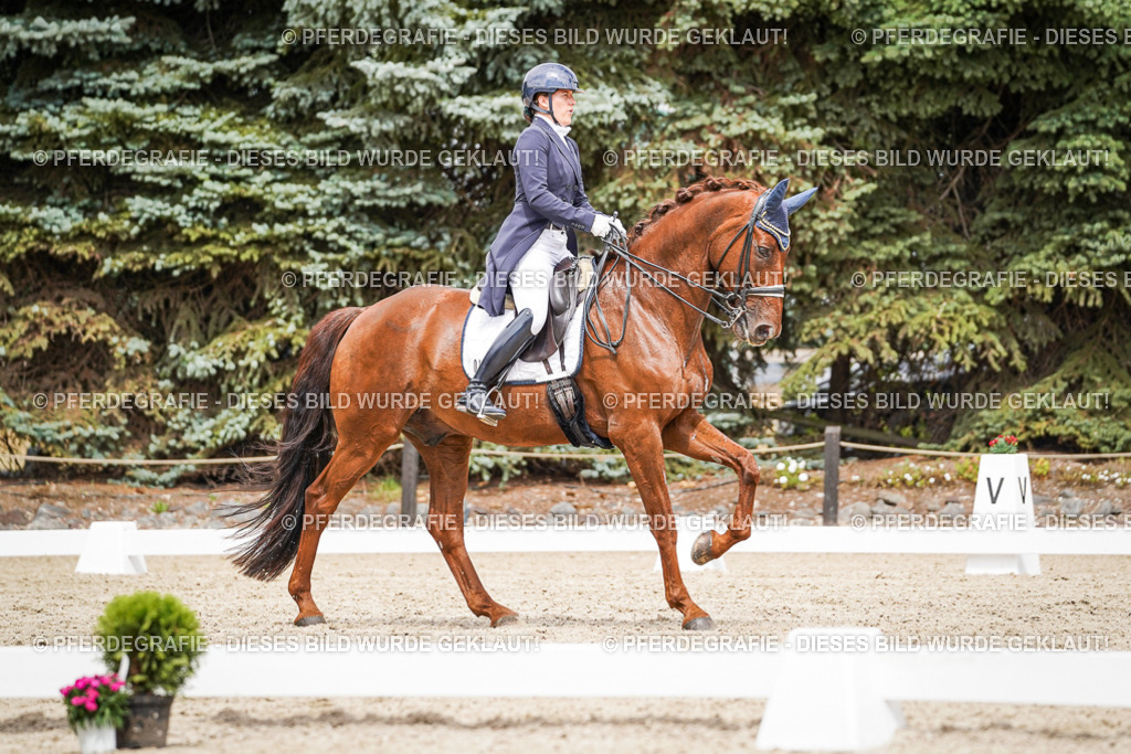 DSC05972 | Pferdegrafie