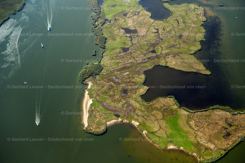 4061076 | Naturschutzgebiet Großer Wotig,  KRöSLIN 08.09.2021 Tümpel und Morast- Wasseroberfläche in einer Teichlandschaft entlang des Peenestrom Flussverlauf am Krösliner See in Kröslin im Bundesland Mecklenburg-Vorpommern, Deutschland.