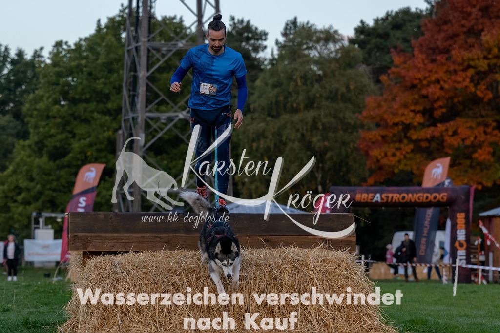 0808_ZZ94478-Bearbeitet | kk-dogfotos