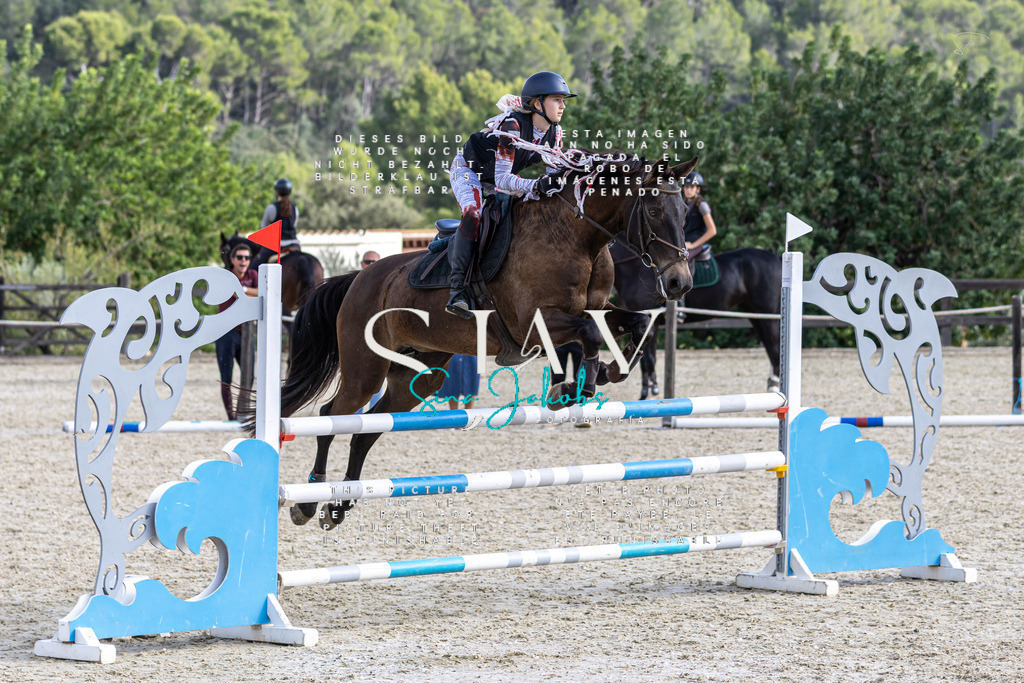 IMG_3497 | s-jay-photography - Realisiert mit Pictrs.com