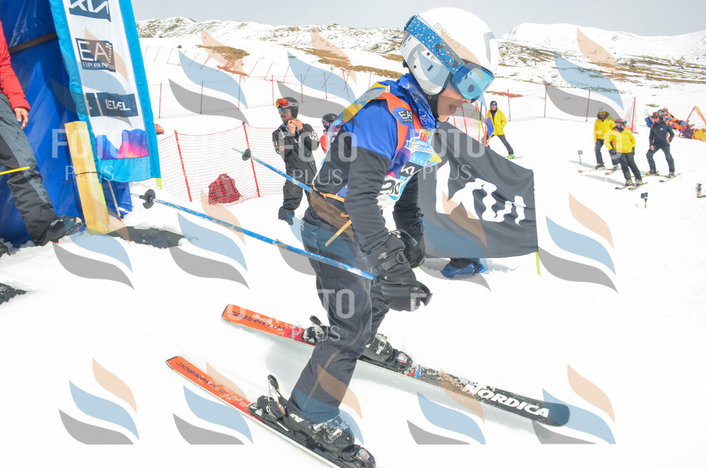 _ELE8208 | holidayphoto