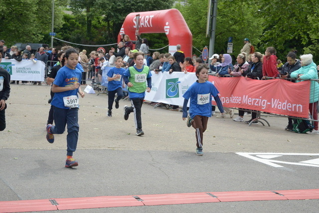 11-07-08_ | Meisterchip Fotoshop - Realisiert mit Pictrs.com