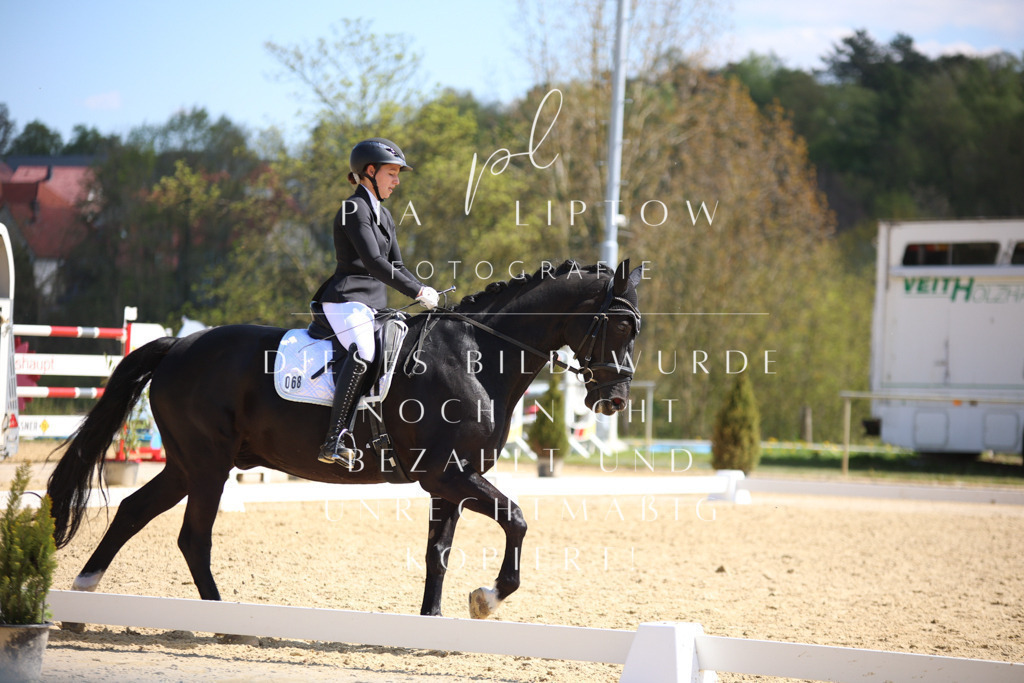 IMGT2654 | pl-fotografie