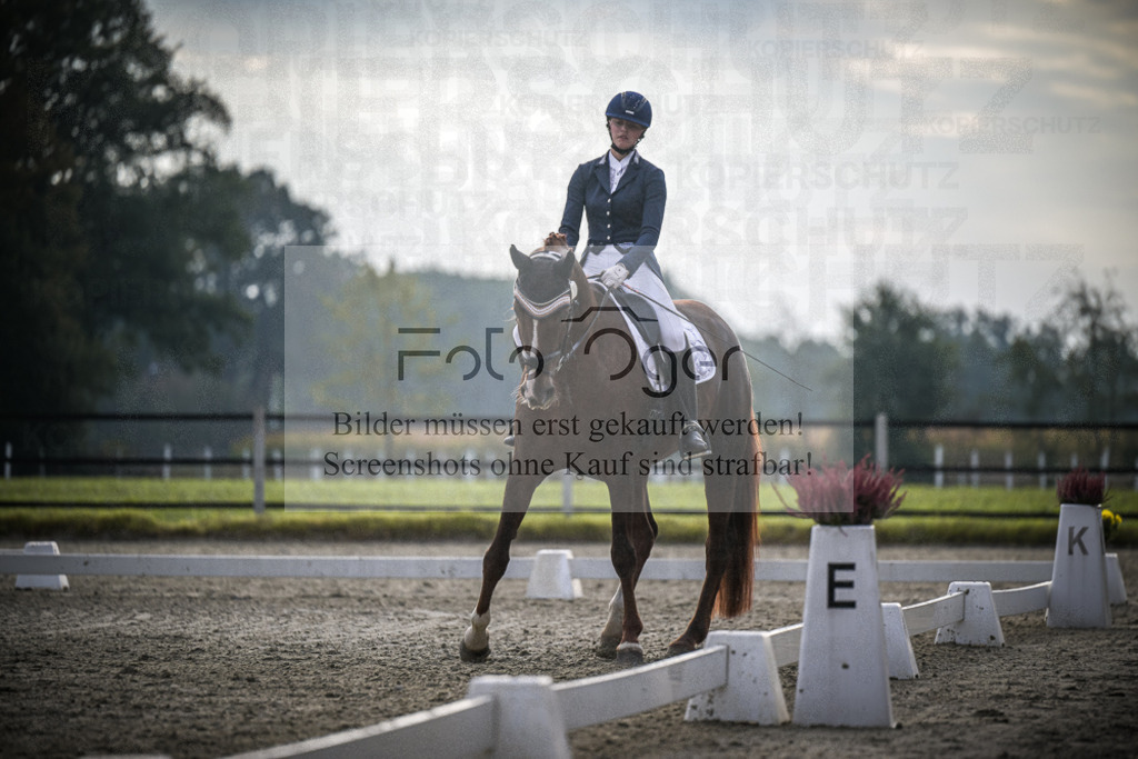DOS_2979 | Entdecke hochwertige Reitturnierfotos von Foto Oger. Professionell, emotional und authentisch – jetzt Lieblingsmomente im Shop bestellen.Deutschlandweite Turnierfotografie. - Realisiert mit Pictrs.com