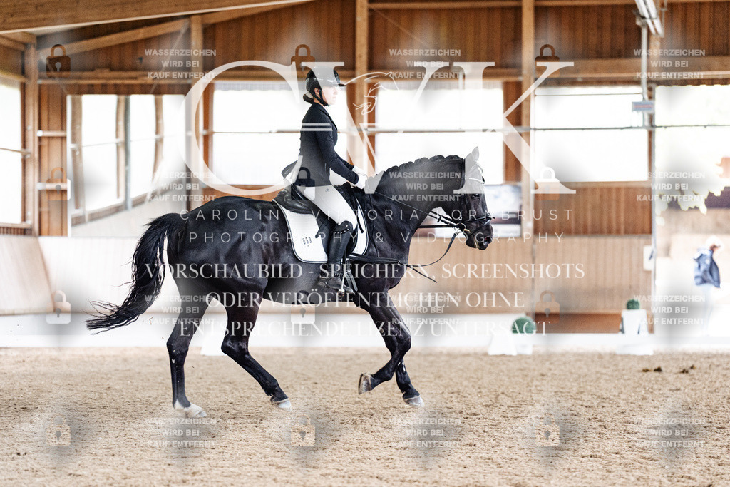 CK901065 | Turnierfotografie Pferdefotografie Trier Rheinland-Pfalz Pferdesport Reitsport Tierfotografie Sportfotografie Pferdevideo Pferdevideografie Equestrianvideography equestrianphotography  - Realisiert mit Pictrs.com