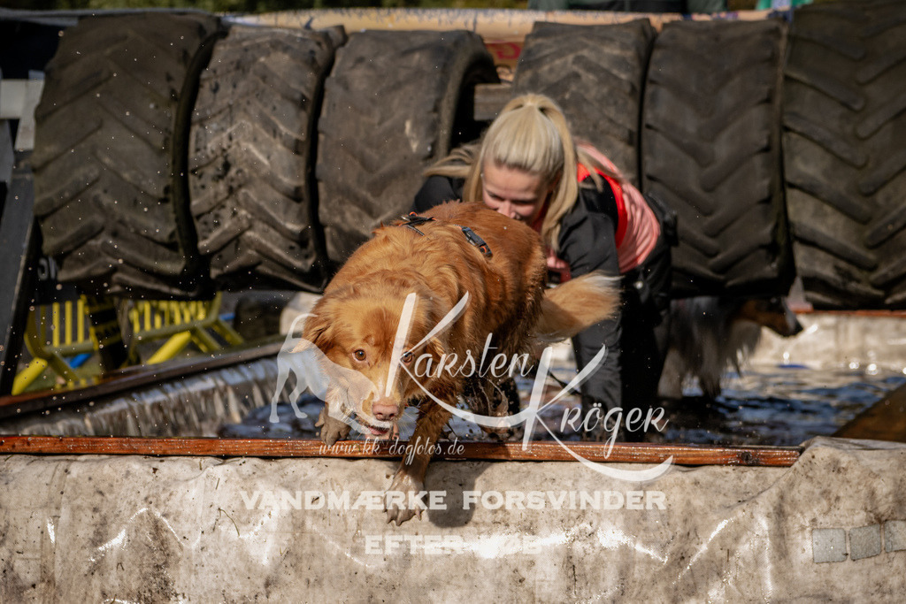 1358_ZZ93542 | kk-dogfotos