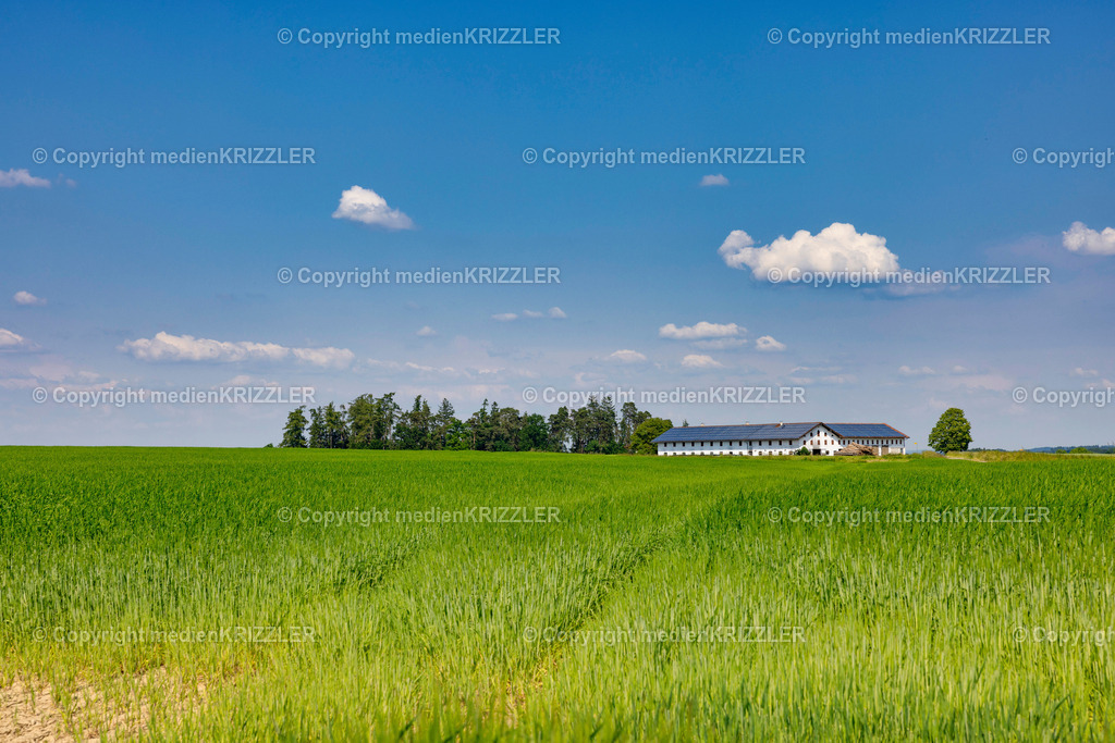 _J3A1223 | medienkrizzler - Realisiert mit Pictrs.com