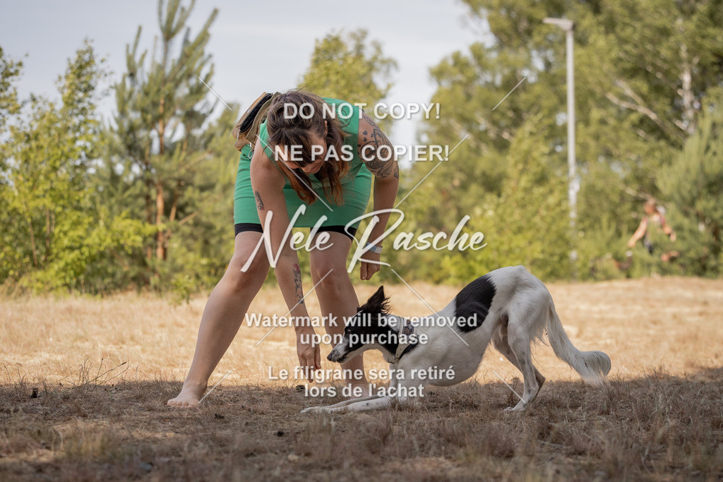 nelerasche_soDD2_439 | nelerasche