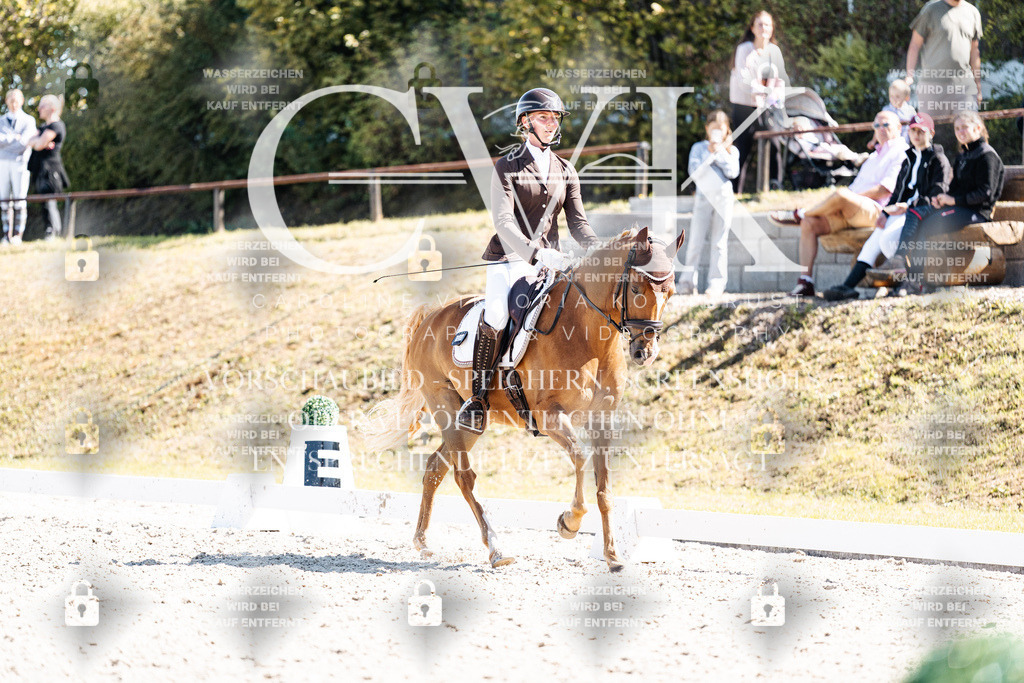 CK903719 | Turnierfotografie Pferdefotografie Trier Rheinland-Pfalz Pferdesport Reitsport Tierfotografie Sportfotografie Pferdevideo Pferdevideografie Equestrianvideography equestrianphotography  - Realisiert mit Pictrs.com