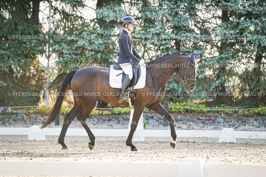 DSC08261 | Pferdegrafie