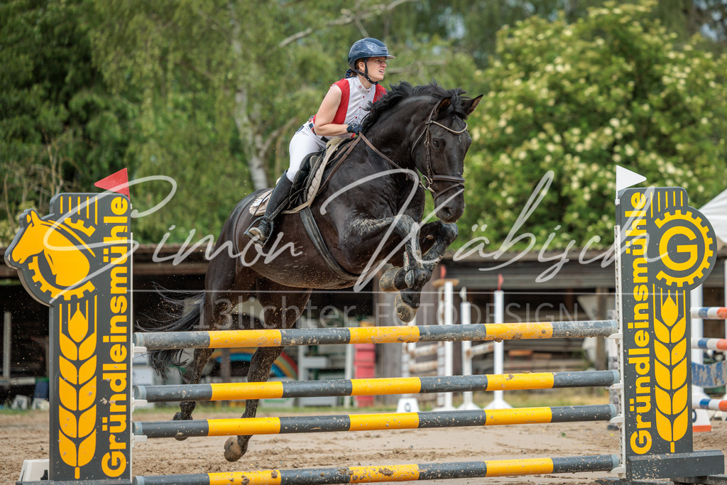 20260530-_3LI2409 | Tierfotografie Pferde, Hunde, Katzen, Haustiere.
Turnierfotografie Reitturniere, Reiten, Springreiten, Dressur in Hanau, dem Main-Kinzig-Kreis und dem Rhein-Main- Gebiet um Frankfurt