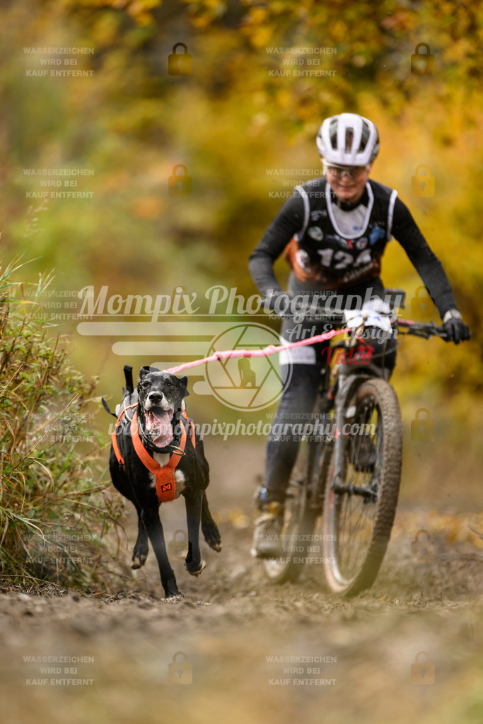 MompixPhotography_ICF_WC_2024_SA_Bike_-96 | PayLife