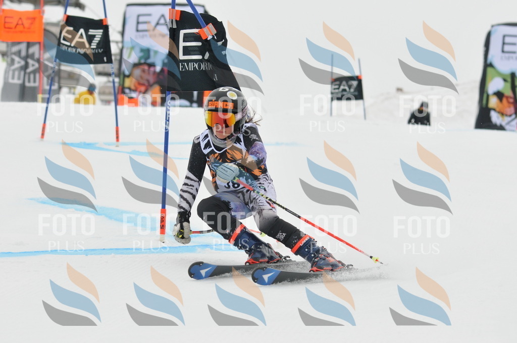 DSC_7619 | holidayphoto